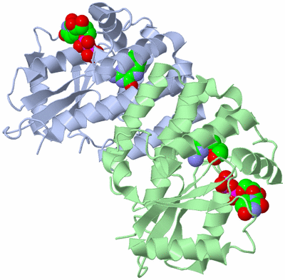 Image Biological Unit 1