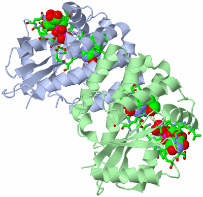 Image Biol. Unit 1 - sites