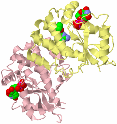 Image Biological Unit 2