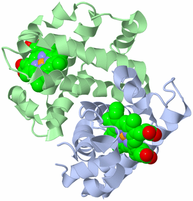 Image Biological Unit 2