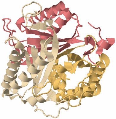 Image Biological Unit 3