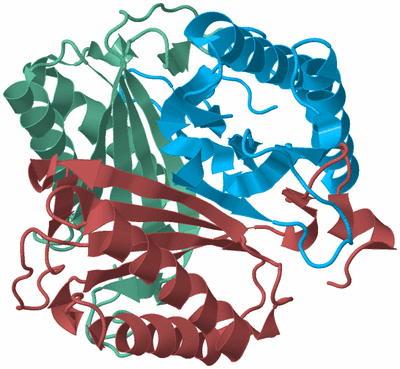 Image Biological Unit 4