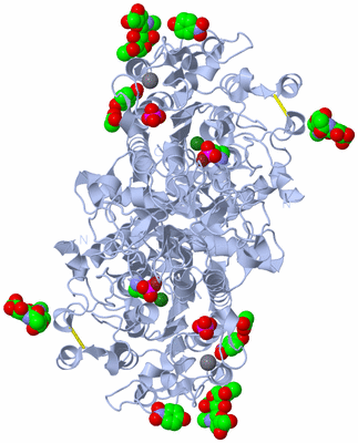 Image Biological Unit 1