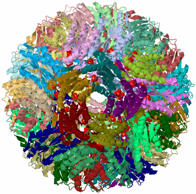 Image Asym./Biol. Unit