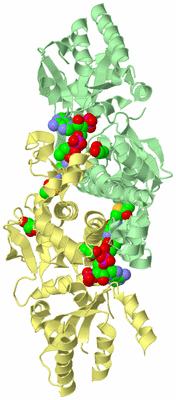 Image Biological Unit 2