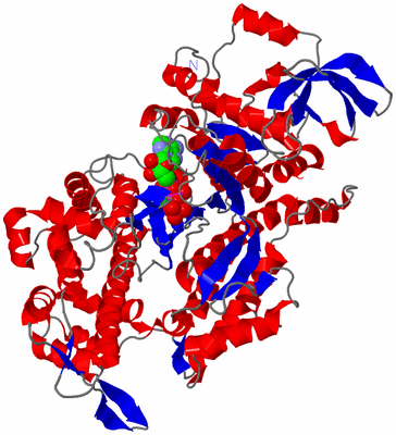 Image Asym./Biol. Unit