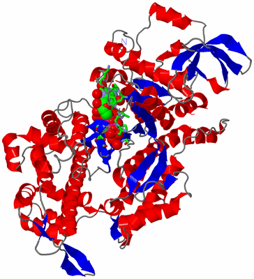 Image Asym./Biol. Unit - sites