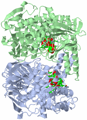 Image Asym./Biol. Unit - sites