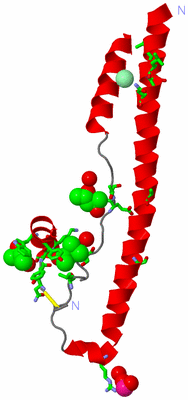 Image Asym. Unit - sites