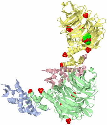 Image Biological Unit 1