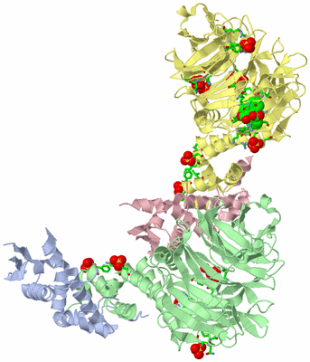 Image Biol. Unit 1 - sites