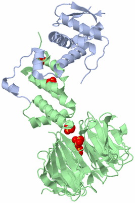 Image Biological Unit 2