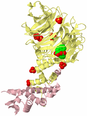 Image Biological Unit 3