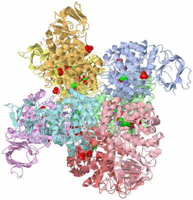 Image Asym./Biol. Unit