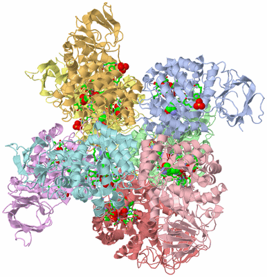 Image Asym./Biol. Unit - sites