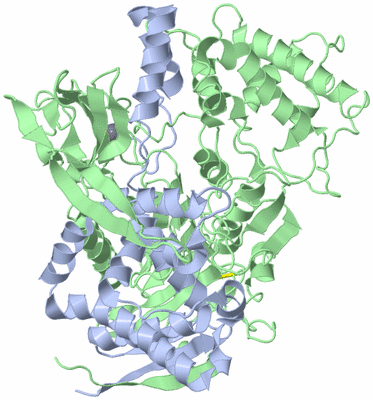 Image Asym./Biol. Unit