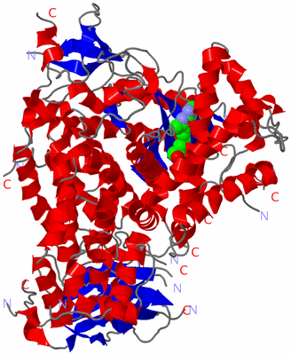 Image Asym./Biol. Unit