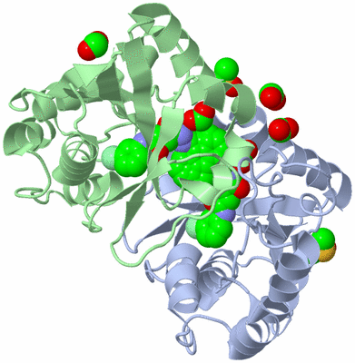 Image Biological Unit 1