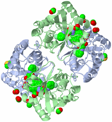 Image Biological Unit 2