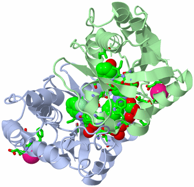 Image Biol. Unit 1 - sites