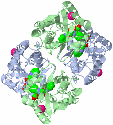 Image Biological Unit 2