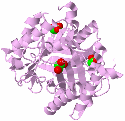 Image Biological Unit 3