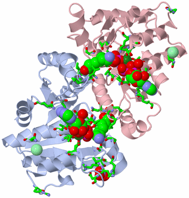 Image Biol. Unit 1 - sites