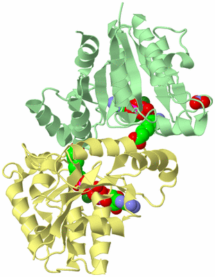 Image Biological Unit 2