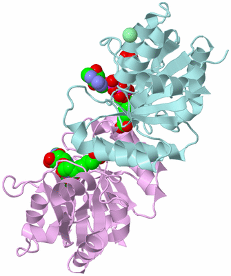 Image Biological Unit 3