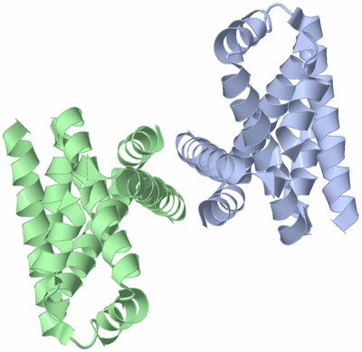 Image Biological Unit 3