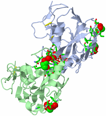 Image Asym. Unit - sites