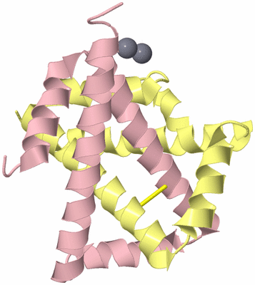 Image Biological Unit 2