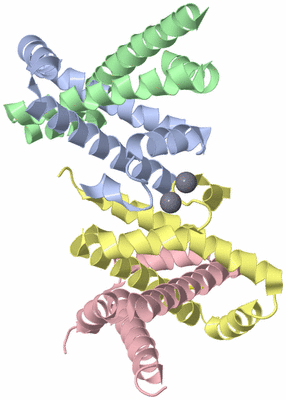 Image Biological Unit 3