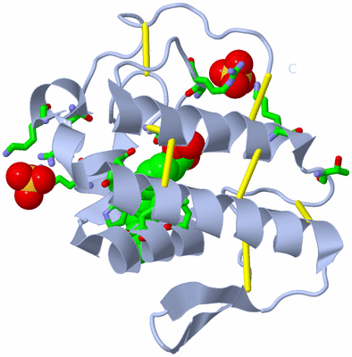 Image Biol. Unit 1 - sites