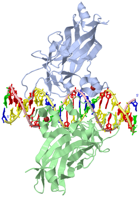 Image Biological Unit 1