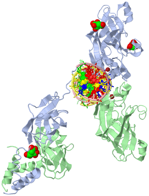 Image Biological Unit 1