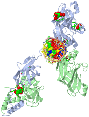 Image Biol. Unit 1 - sites