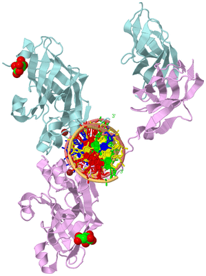 Image Biological Unit 2