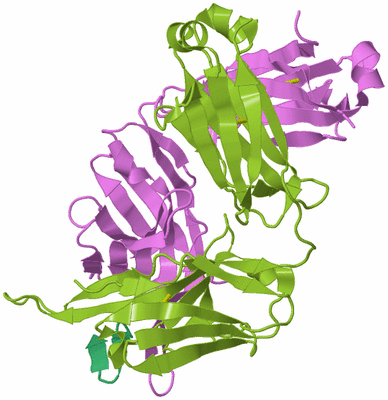 Image Biological Unit 2