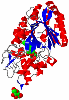 Image Asym./Biol. Unit