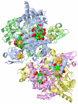 Image Asym./Biol. Unit