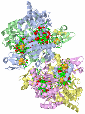 Image Asym./Biol. Unit - sites