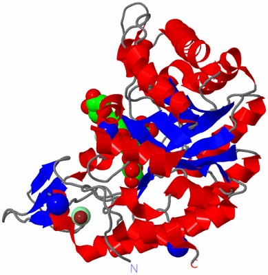 Image Asym./Biol. Unit