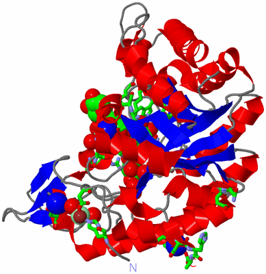 Image Asym./Biol. Unit - sites