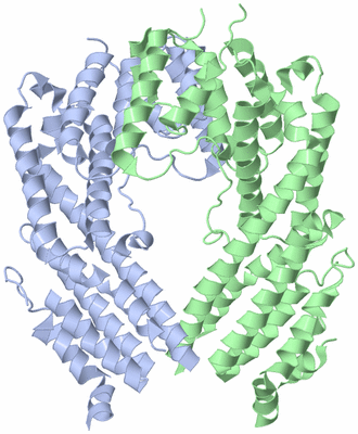 Image Biological Unit 3