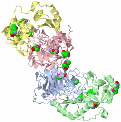 Image Biological Unit 1