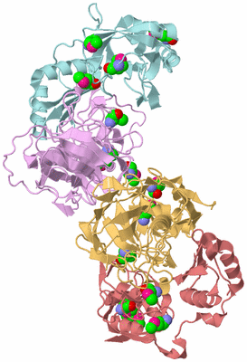 Image Biological Unit 2