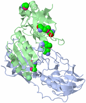 Image Biological Unit 3