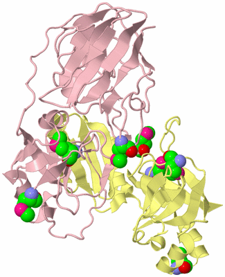 Image Biological Unit 4