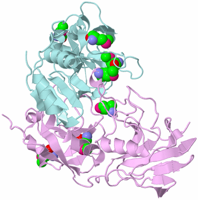 Image Biological Unit 5